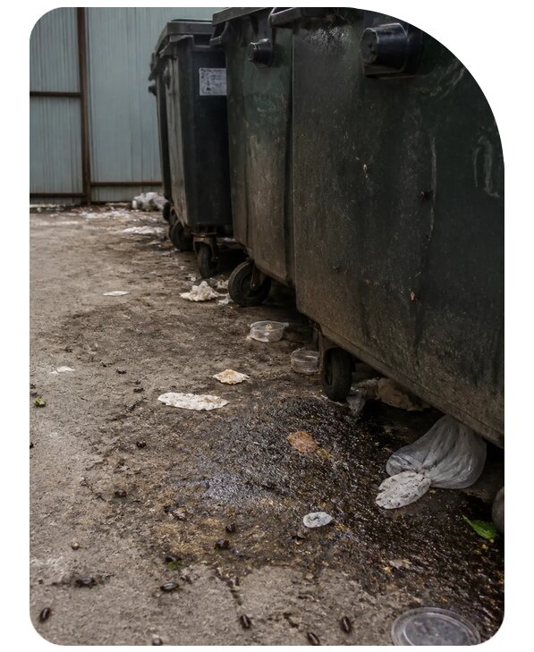 Дезинсекция контейнерной площадки в Ухте по цене от 2531 р. | Сенат-Хта